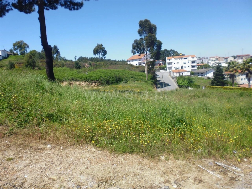 Terreno para Venda em Oliveira do Douro Foto 5