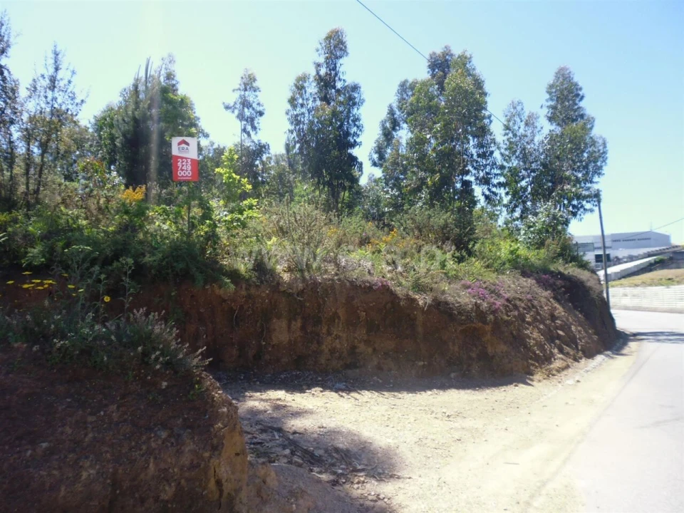 Terreno para Venda em Oliveira do Douro Foto 12