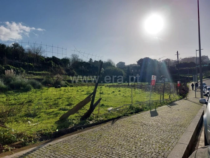 Terreno para Venda em Oliveira do Douro Foto 5