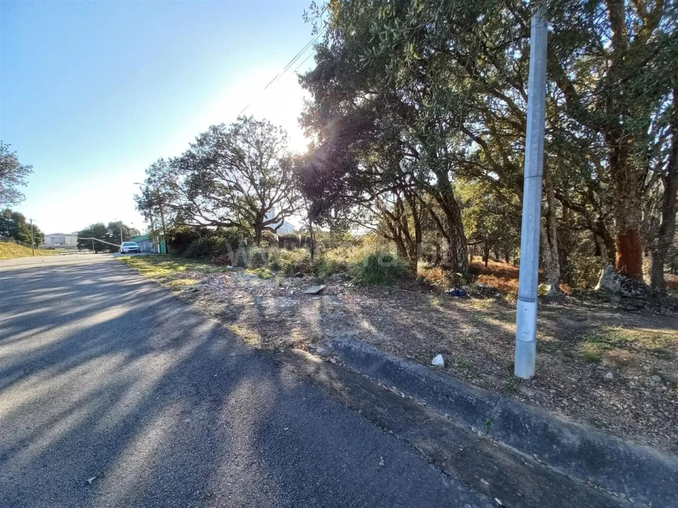 Terreno para Venda em Oliveira do Douro Foto 4