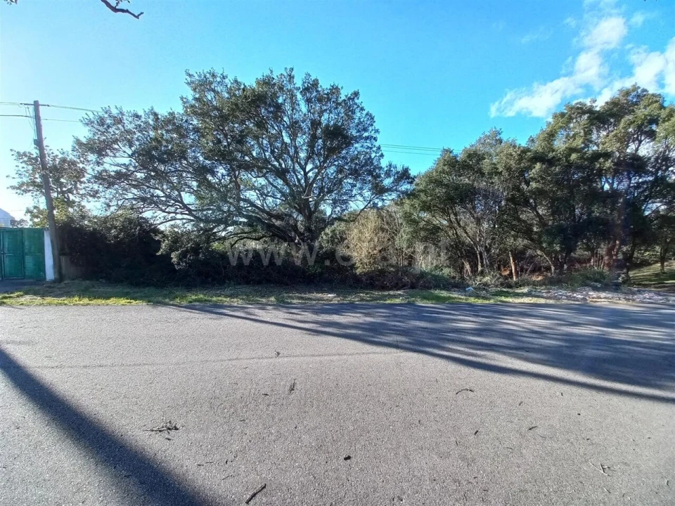 Terreno para Venda em Oliveira do Douro Foto 3
