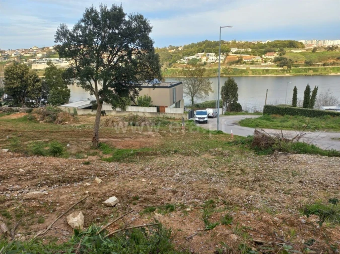 Terreno para Venda em Oliveira do Douro Foto 3