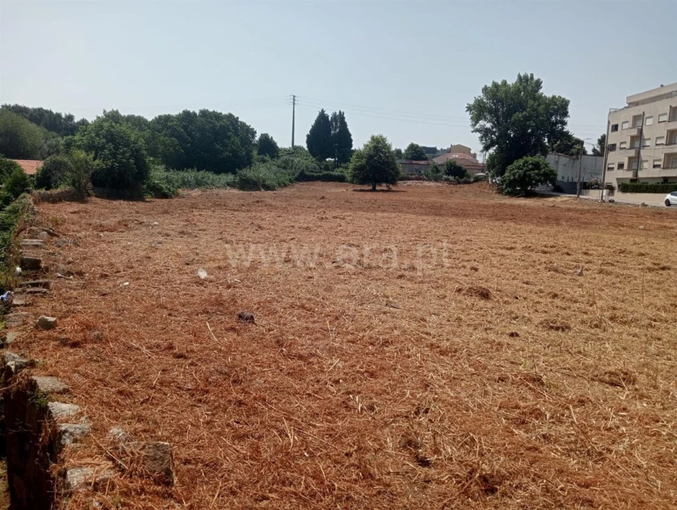 Terreno para Venda em Oliveira do Douro Foto 13