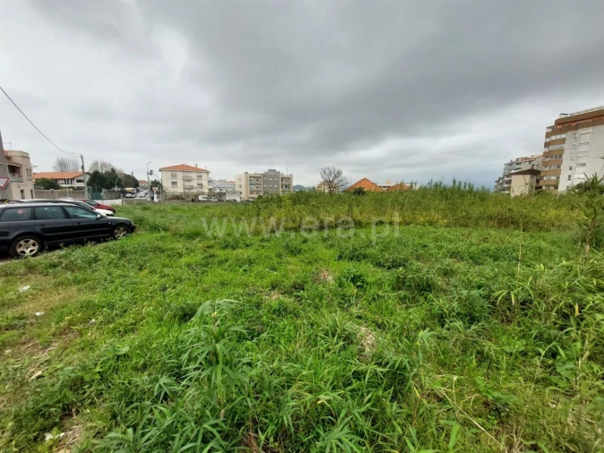 Terreno para Venda em Oliveira do Douro Foto 3