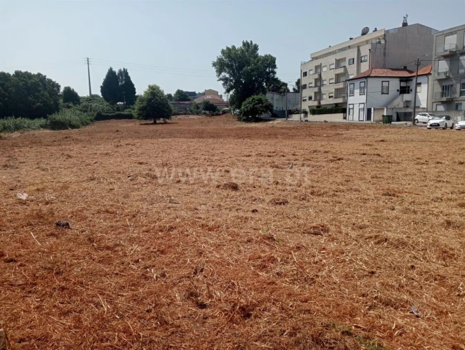 Terreno para Venda em Oliveira do Douro Foto 12