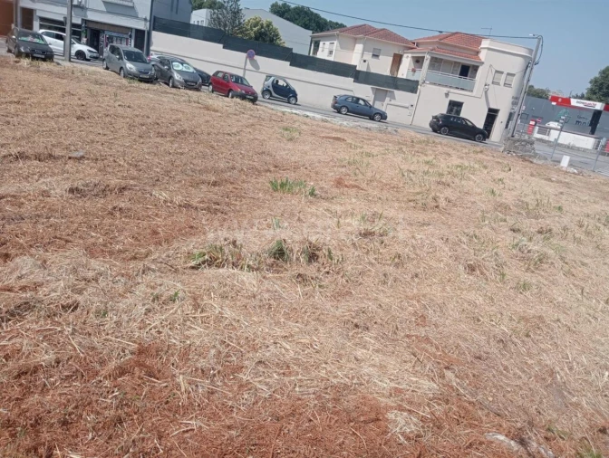 Terreno para Venda em Oliveira do Douro Foto 11