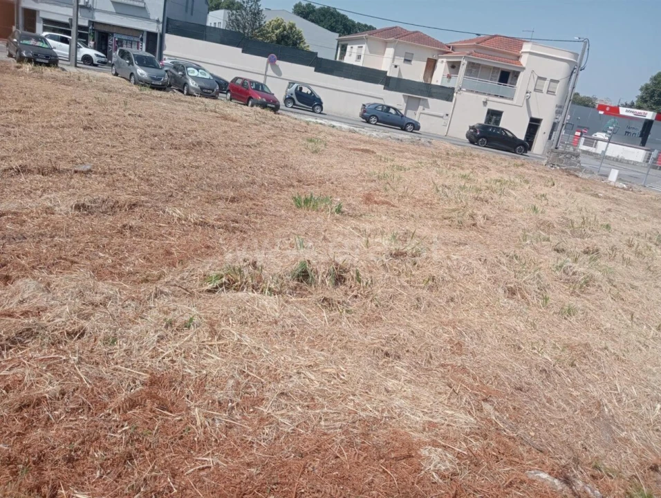 Terreno para Venda em Oliveira do Douro Foto 11
