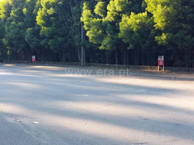 Terreno para Venda em Mozelos Foto 16