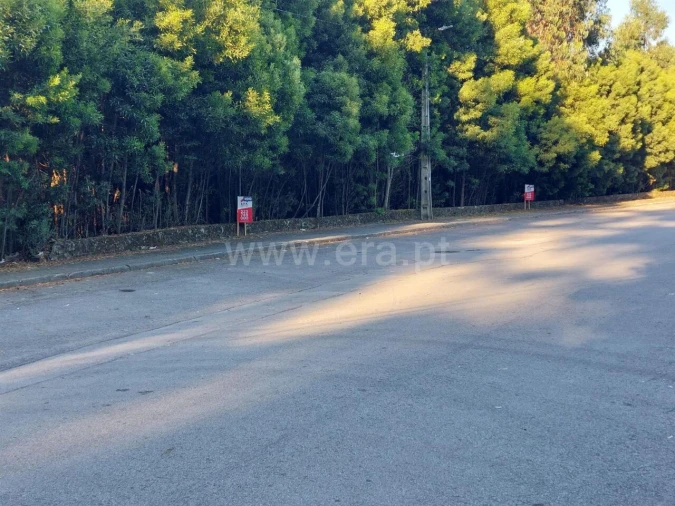 Terreno para Venda em Mozelos
