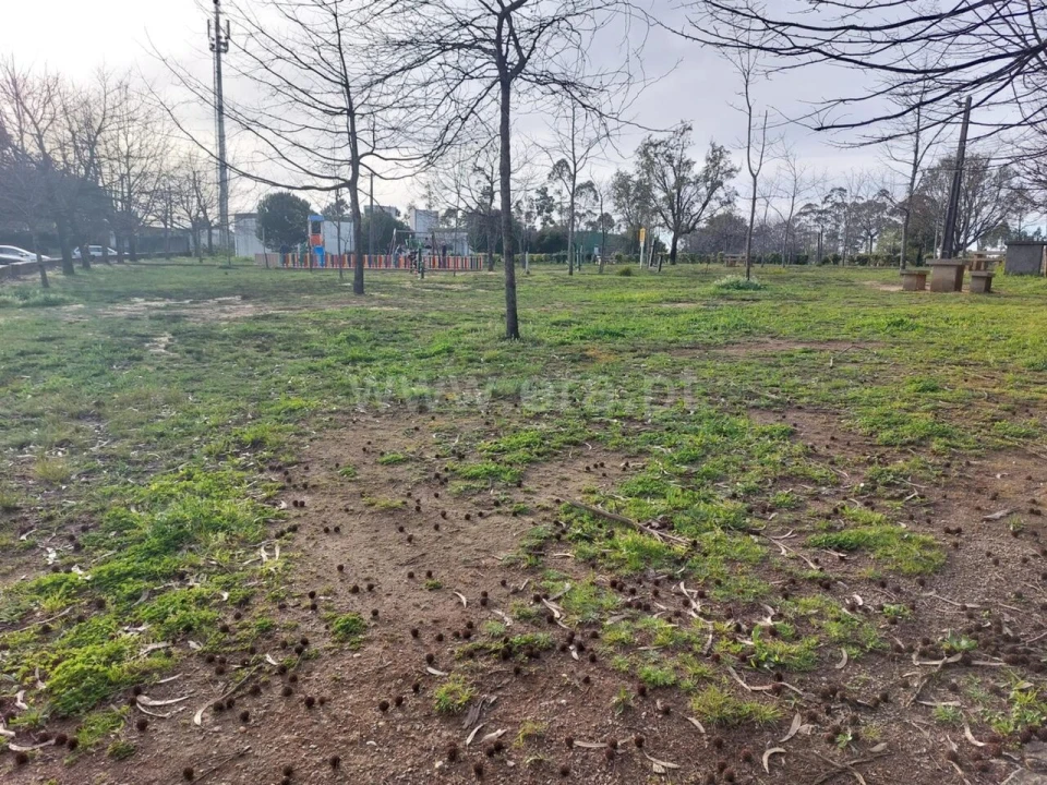 Terreno para Venda em Mozelos Foto 10