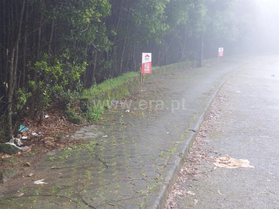 Terreno para Venda em Mozelos Foto 5