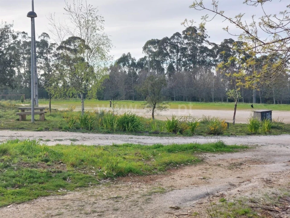 Terreno para Venda em Mozelos Foto 6