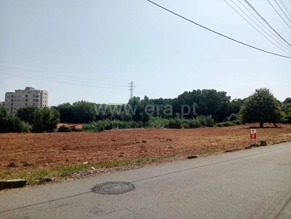 Terreno para Venda em Oliveira do Douro Foto 3