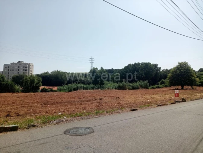 Terreno para Venda em Oliveira do Douro Foto 3