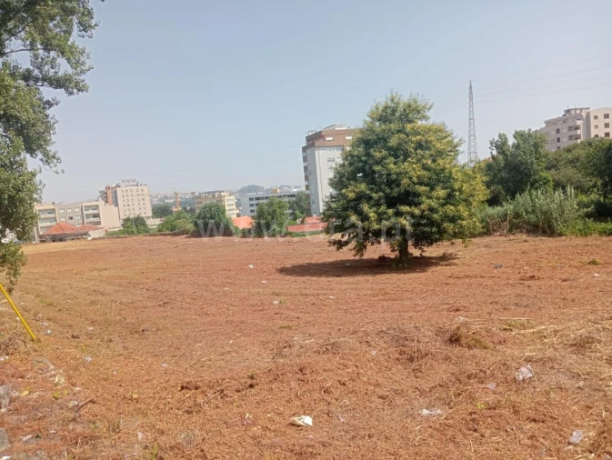 Terreno para Venda em Oliveira do Douro Foto 1