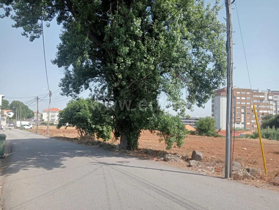 Terreno para Venda em Oliveira do Douro Foto 5