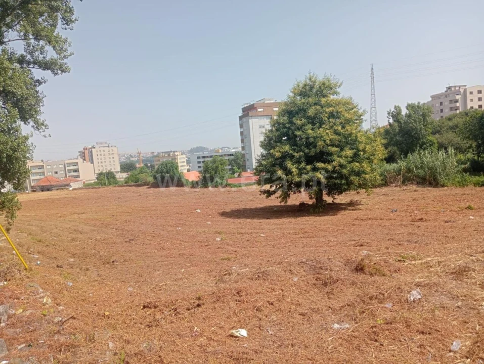 Terreno para Venda em Oliveira do Douro Foto 1