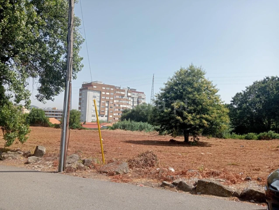 Terreno para Venda em Oliveira do Douro Foto 6