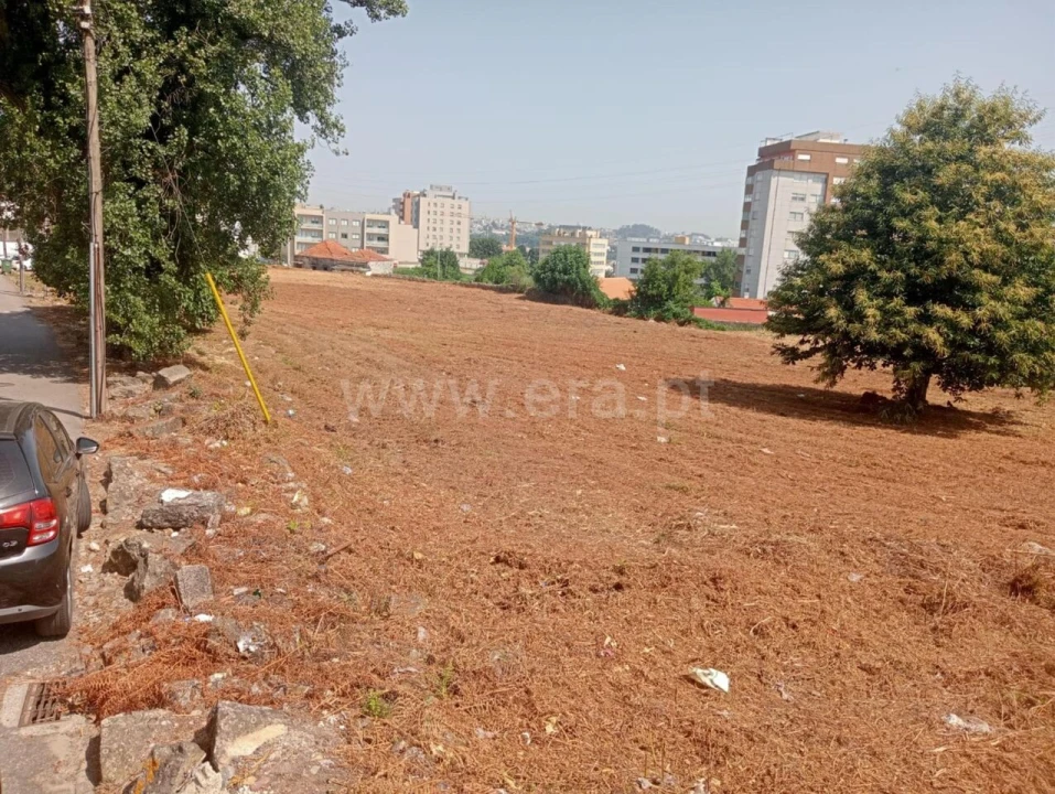 Terreno para Venda em Oliveira do Douro Foto 2