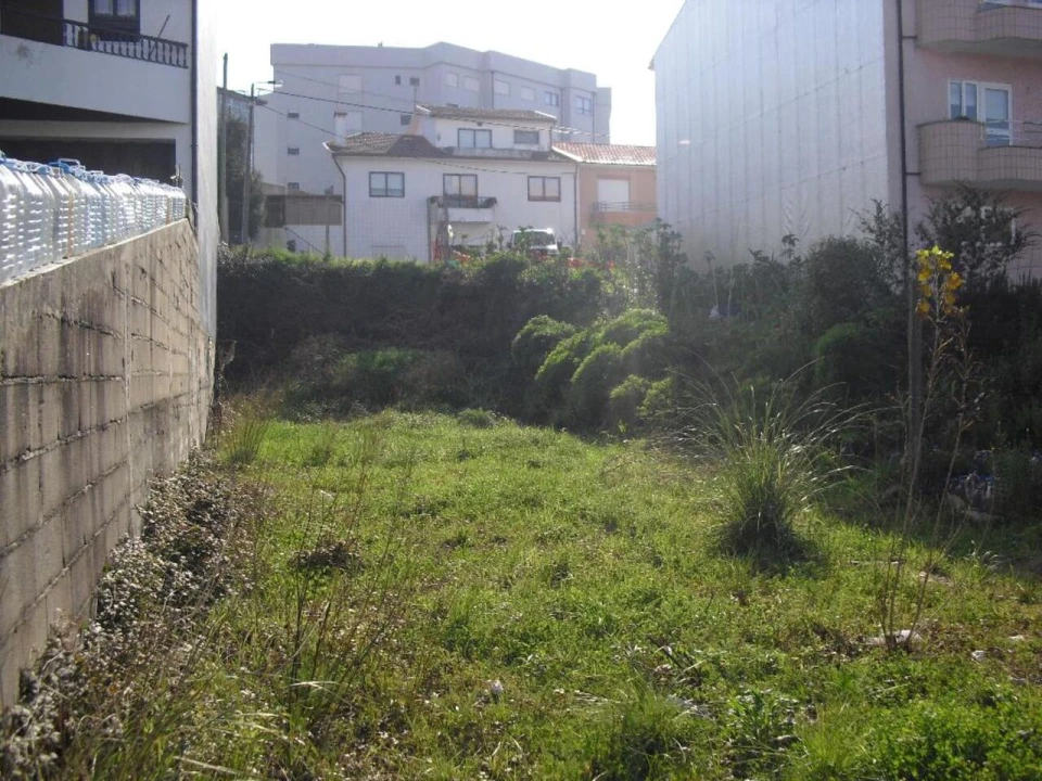 Terreno para Venda em Oliveira do Douro Foto 3