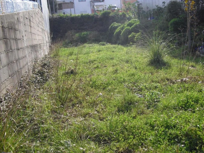 Terreno para Venda em Oliveira do Douro Foto 4