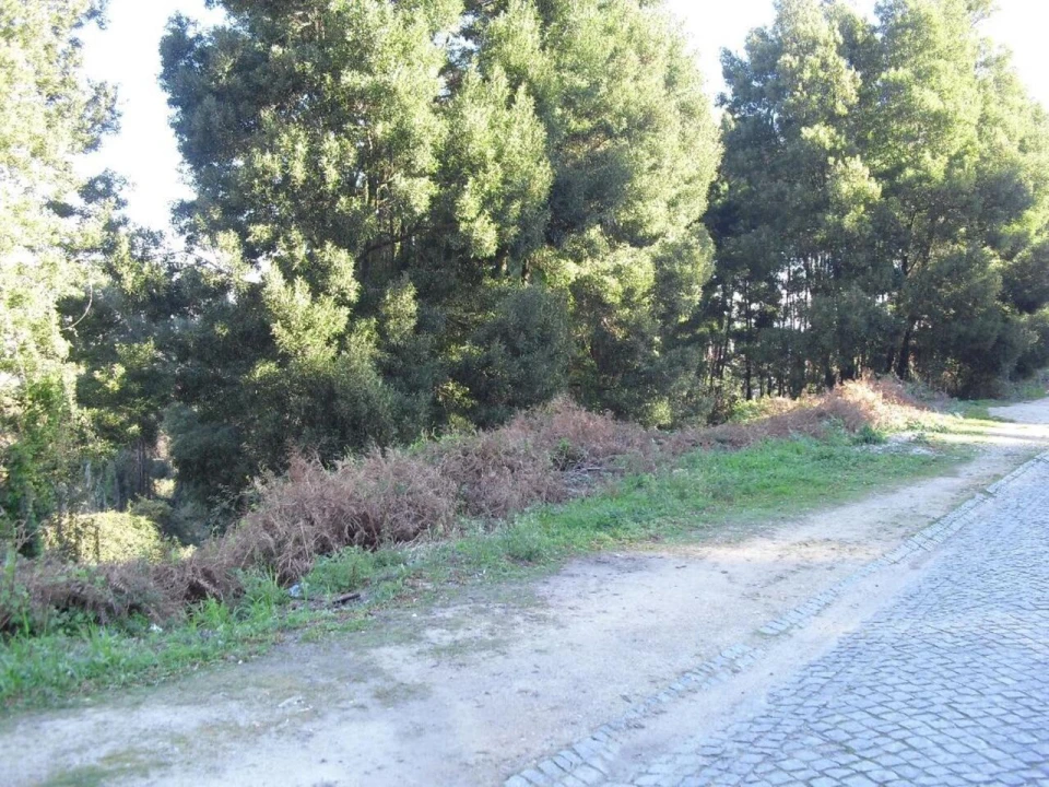 Terreno para Venda em Oliveira do Douro Foto 3