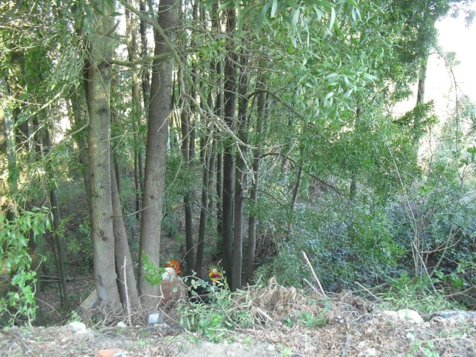Terreno para Venda em Oliveira do Douro Foto 4