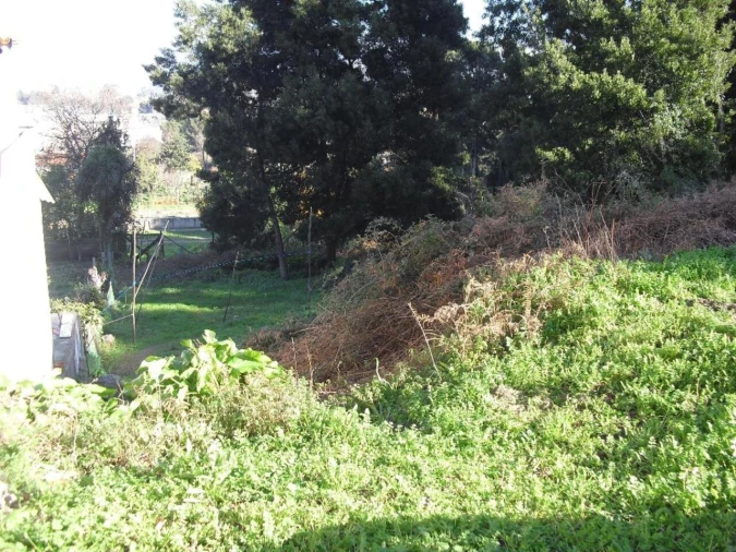 Terreno para Venda em Oliveira do Douro Foto 2