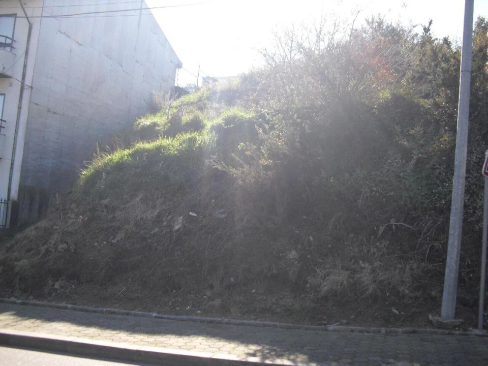 Terreno para Venda em Oliveira do Douro Foto 1