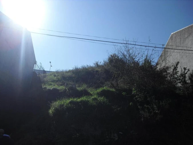 Terreno para Venda em Oliveira do Douro Foto 4