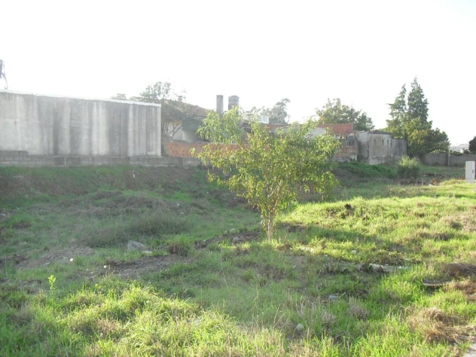 Terreno para Venda em Oliveira do Douro Foto 3