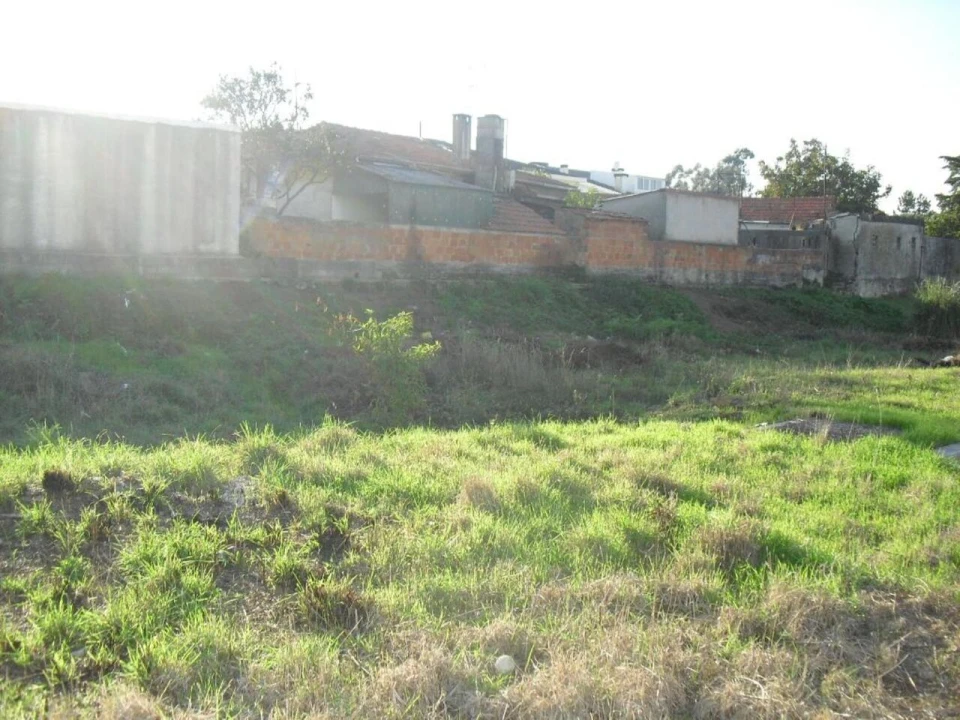 Terreno para Venda em Oliveira do Douro Foto 6