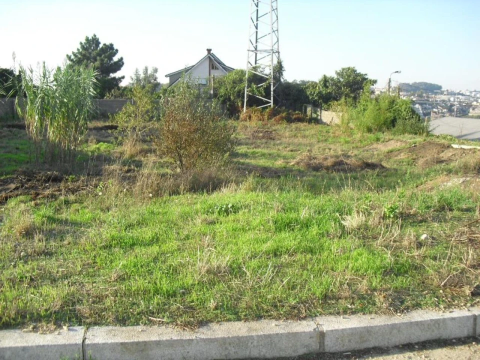Terreno para Venda em Oliveira do Douro Foto 9