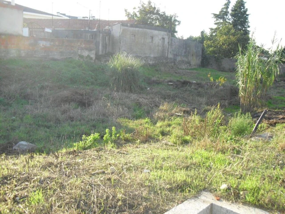 Terreno para Venda em Oliveira do Douro Foto 10