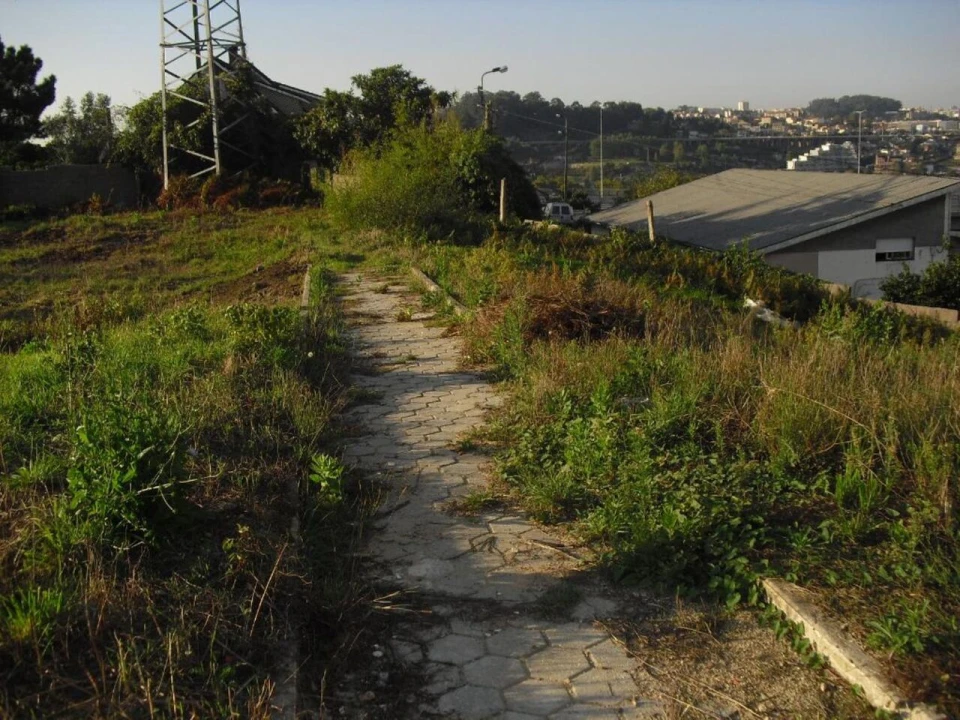 Terreno para Venda em Oliveira do Douro Foto 13