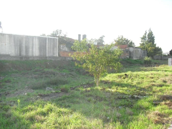 Terreno para Venda em Oliveira do Douro Foto 3