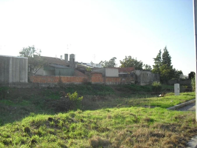 Terreno para Venda em Oliveira do Douro Foto 4