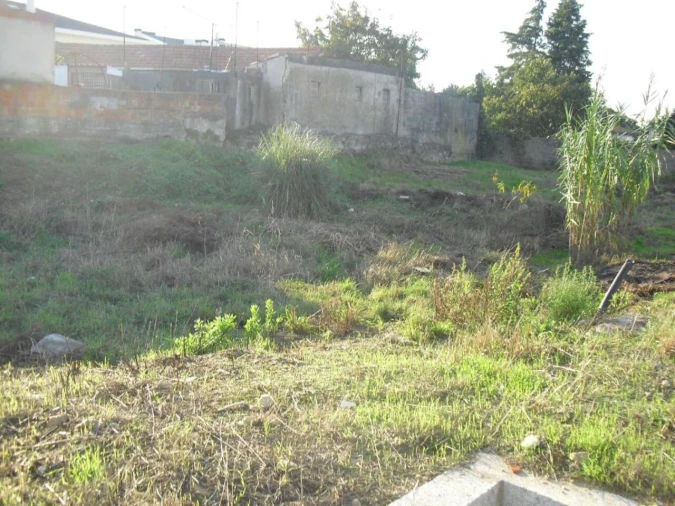 Terreno para Venda em Oliveira do Douro Foto 10