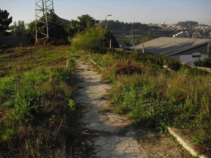 Terreno para Venda em Oliveira do Douro Foto 13