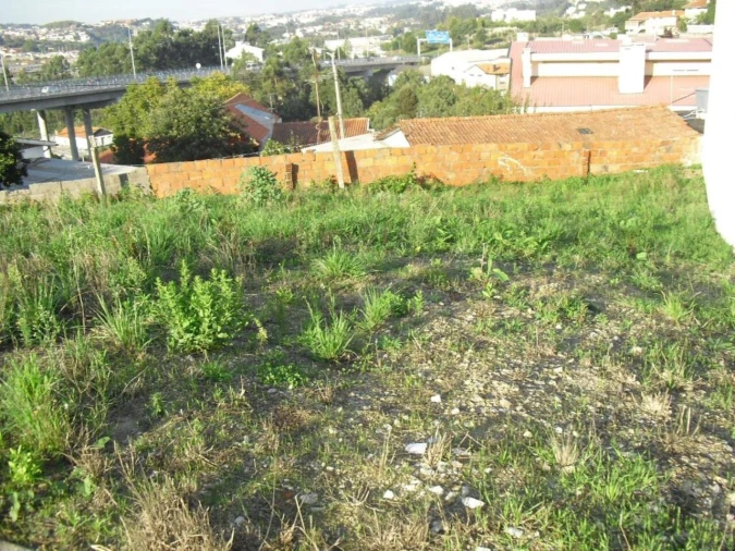 Terreno para Venda em Oliveira do Douro Foto 12
