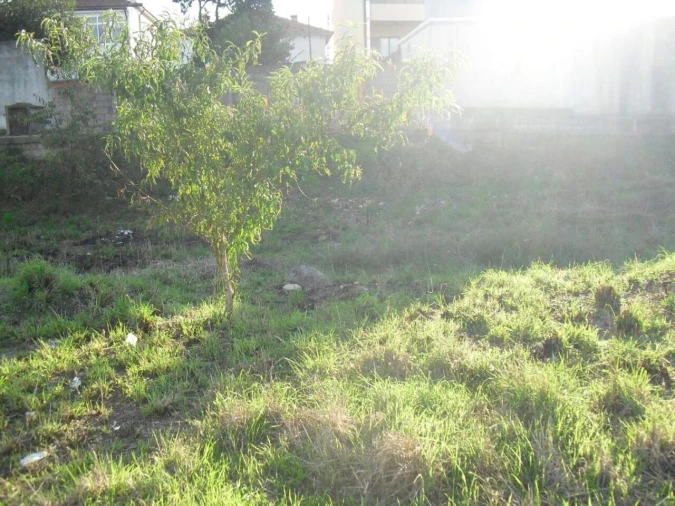 Terreno para Venda em Oliveira do Douro Foto 5