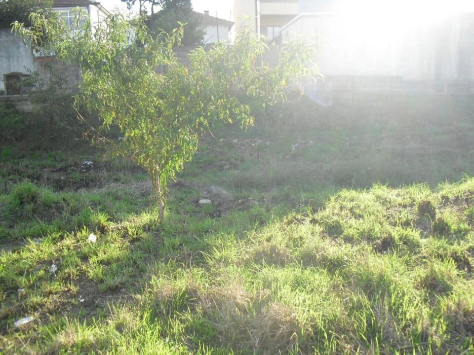 Terreno para Venda em Oliveira do Douro Foto 5