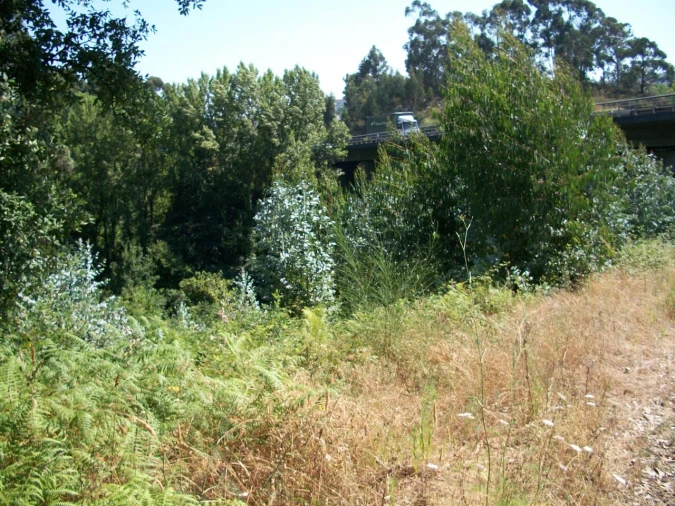 Terreno para Venda em Oliveira do Douro Foto 2