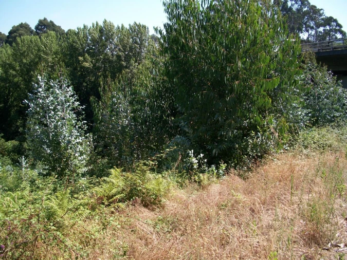 Terreno para Venda em Oliveira do Douro Foto 3