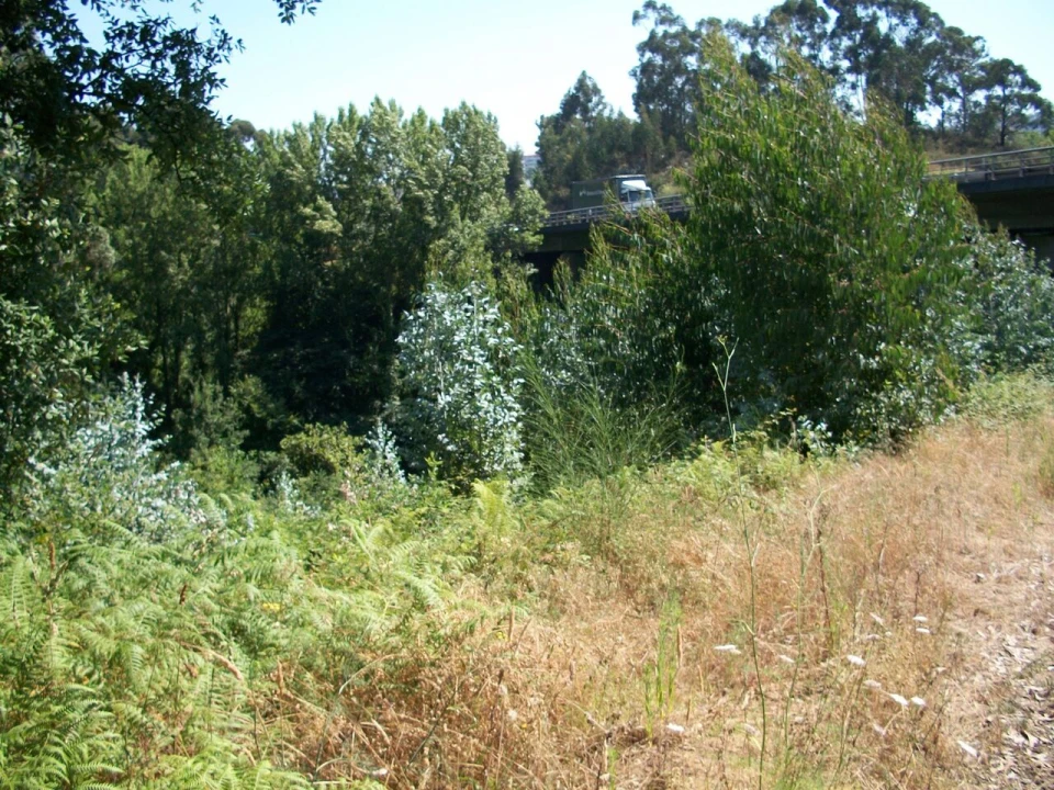 Terreno para Venda em Oliveira do Douro Foto 2