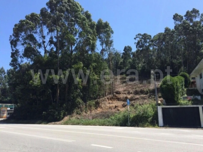 Terreno para Venda em Santa Maria de Lamas Foto 3