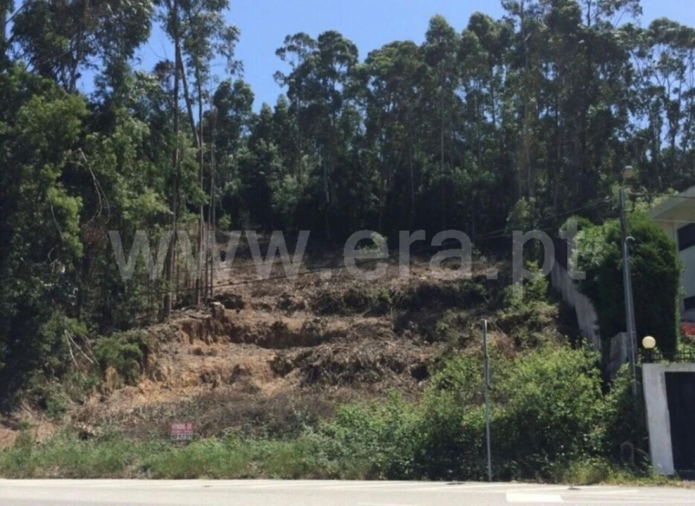 Terreno para Venda em Santa Maria de Lamas Foto 2