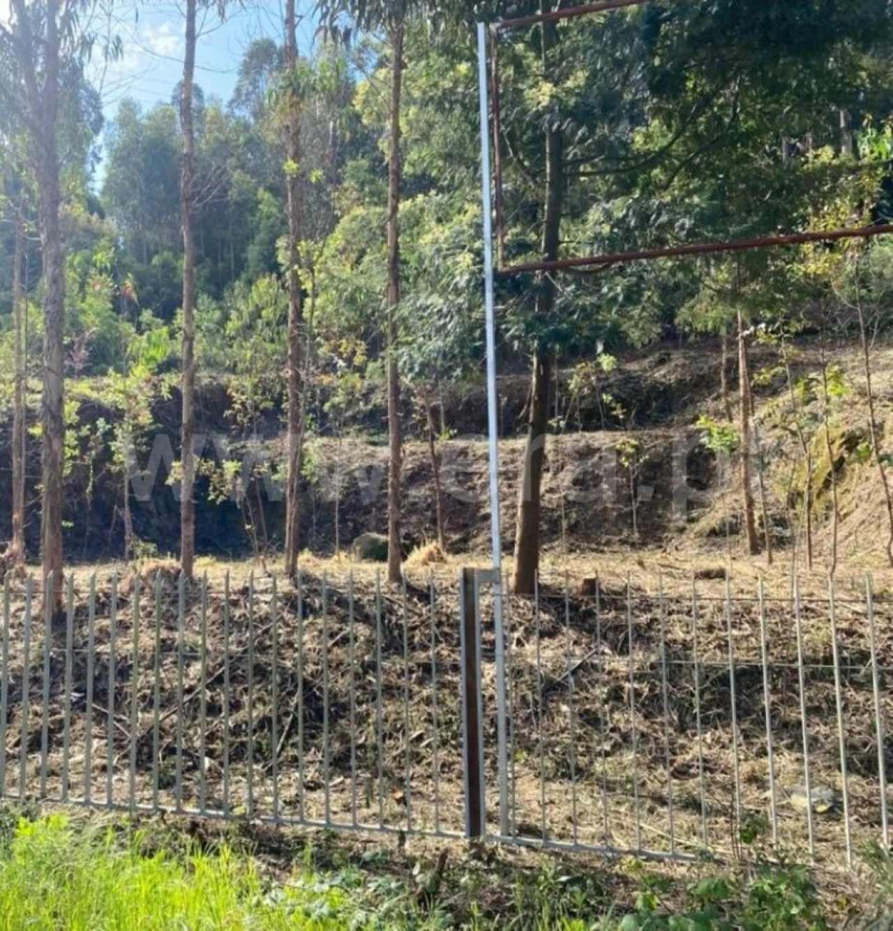 Terreno para Venda em Santa Maria de Lamas Foto 13