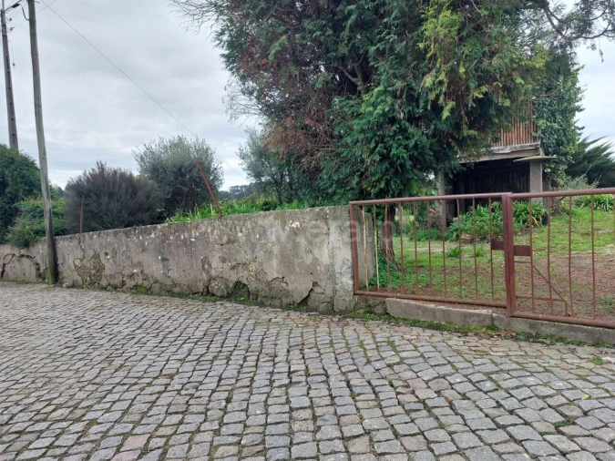 Terreno para Venda em Grijó e Sermonde Foto 5