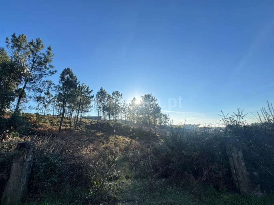 Terreno para Venda em Sandim, Olival, Lever e Crestuma Foto 5